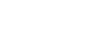 DATARAIZ